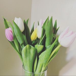 Meet your Posher, Lynn